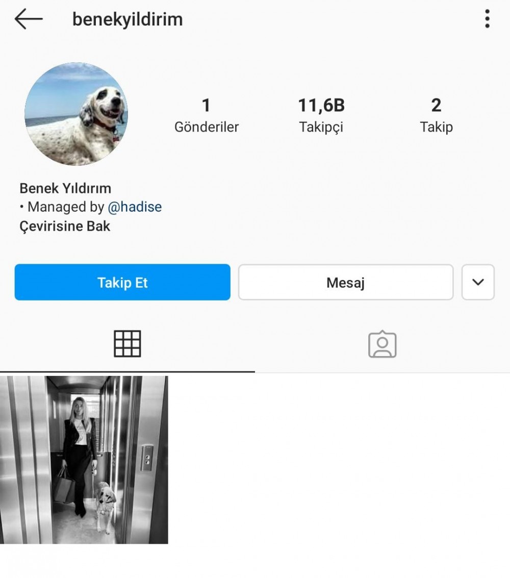 Müğənni sevgilisinin iti üçün sosial şəbəkədə hesab açdı - FOTOLAR